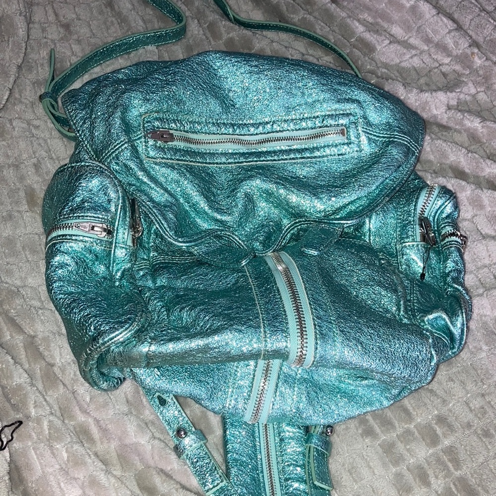 Alexander Wang Marti Zinc (Regular size)